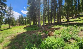 332 Snowshoe Rd, Bear Valley, CA 95223