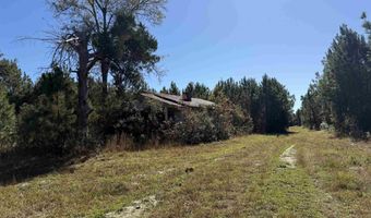 57 40 Acres-TBD Cades Rd, Cades, SC 29518