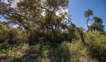 N McCampbell Street, Aransas Pass, TX 78336
