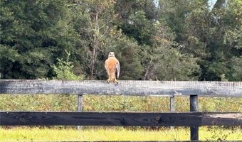 8506 SW 135TH Ln, Archer, FL 32618