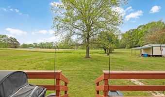 96 White Fern Rd, Beech Bluff, TN 38313