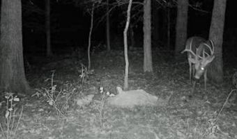 3968 Highway 167, Ash Flat, AR 72513
