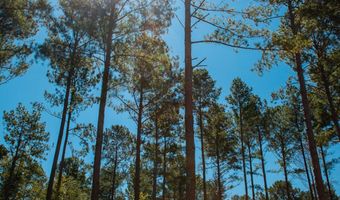 6345 Cobbham Rd, Appling, GA 30802