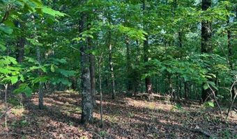 0 DAVIS ACRES Dr 72 & 73, Alpine, AL 35014