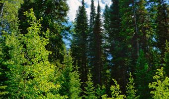9380 E Kessler View Ln, Brighton, UT 84121
