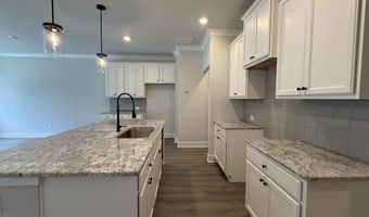 313 Brook Landing Cir, Auburn, GA 30011