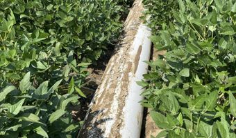 Straight Bayou Road, Anguilla, MS 38721