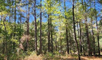 3170 Co Rd 53, Abbeville, AL 36319