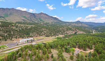 901 CR 64, Bailey, CO 80421