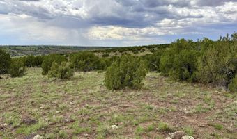 85 Co Rd 8128, Concho, AZ 85924