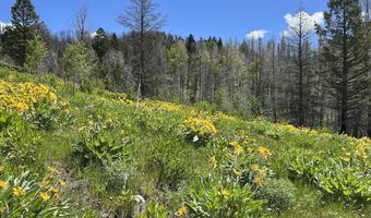 DEER HAVEN 40 AC Road, Bondurant, WY 82922