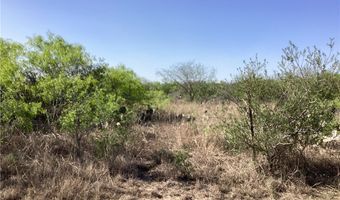 1701 CR 170, Alice, TX 78332