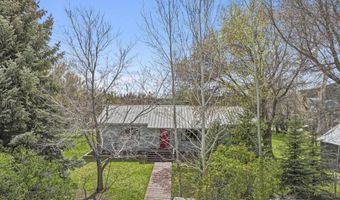 19591 Queens Crown Rd, Carey, ID 83320