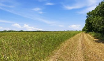 421 Chambers Creek Trl, Alvarado, TX 76009