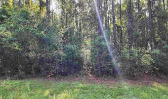 0 Lowery Rd Lot #11, Atmore, AL 36502