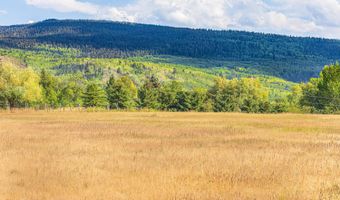 80 ALTA MEADOWS Rd, Alta, WY 83414