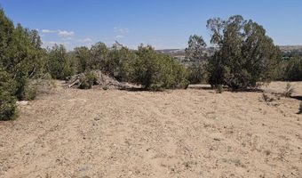 Xx NM 574, Aztec, NM 87410