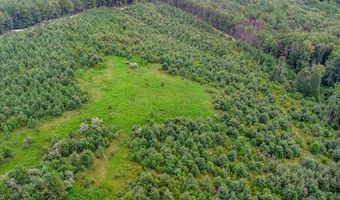 62- Acres Grandmas Hill Rd, Amherst, VA 24521