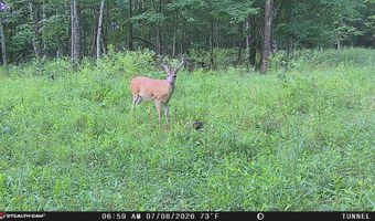 566 A Tunnel Ridge Rd, Argillite, KY 41121