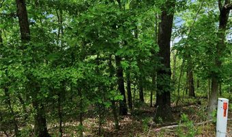 Epping Drive lot 20, Bella Vista, AR 72714