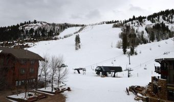 0039 Boomerang Rd Unit 8310 Summer Interest 7, Aspen, CO 81611