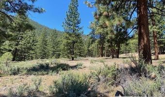 3584 Knob Point Trl Lot 94, Carson City, NV 89705