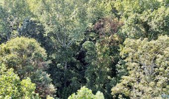 2 93 Acres Highway 231, Arab, AL 35016