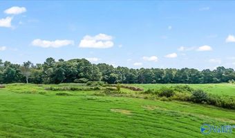 4291 County Road 1807, Arab, AL 35016
