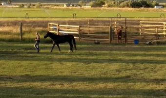 15 Arrowhead Dr, Cody, WY 82414