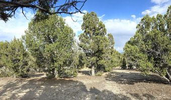 816 Hamilton Stage Rd, Elko, NV 89801