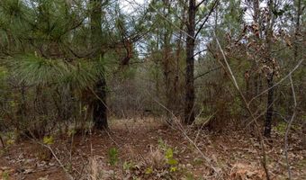 Tbd Pump Station Rd, Ashdown, AR 71822