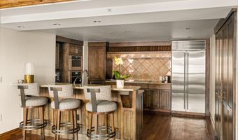 315 E Dean St B55, Aspen, CO 81611