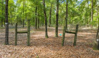 6679 NW 27th Pl, Bell, FL 32619