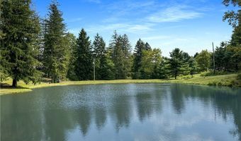 5696 Steubenville Rd SE, Amsterdam, OH 43903