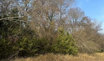 000 FM 44, Annona, TX 75550