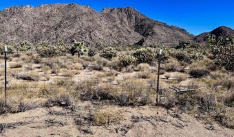 11658 Sherry Rd, Yucca, AZ 86438