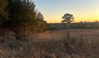 412110 E 1900 Rd, Antlers, OK 74523