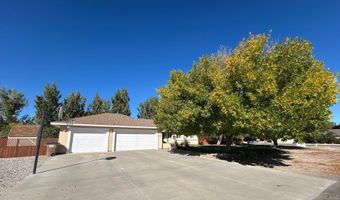 5390 Vinewood Cir, Fallon, NV 89406