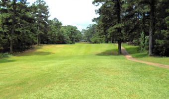 117 Old Millwood Rd, Ashdown, AR 71822