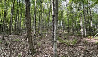 Map17-Lot 31 & 33 River Road, Bath, NH 03740