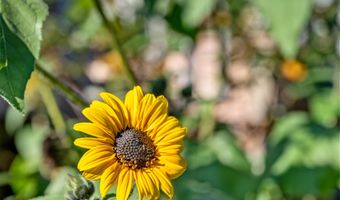416 Gosselin Hill Rd, Calais, VT 05650