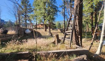 54 1st N St, Alpine, AZ 85920
