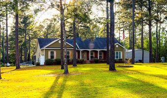 353 Alapaha River Dr, Alapaha, GA 31622