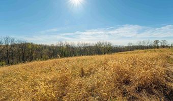 Lot 4 Prairie View Road, Argyle, WI 53504