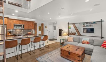 910 W Hallam St 11, Aspen, CO 81611