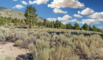 1211 Quail Ridge Rd, Gardnerville, NV 89460