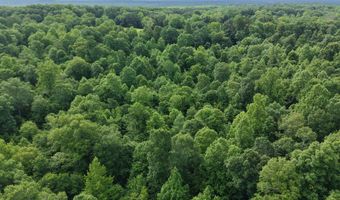 000 Fowler Rd, Beech Bluff, TN 38313
