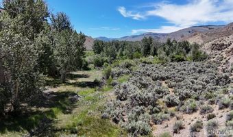 E Fork Road, Clayton, ID 83227