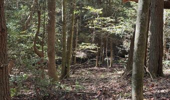 18 6 Acres Cave Branch Rd, Allardt, TN 38504