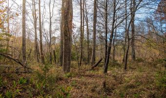 217 W Chapman Rd, Belton, SC 29627